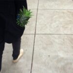 Taissa Farmiga Instagram - Excuse me, sir. Is that a pineapple in your pocket?
