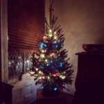 Taissa Farmiga Instagram - the little hipster christmas tree.