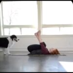 Taryn Manning Instagram - Yoga with your doggie 😁 #yoga #dog #doggieyoga Animals are genuinely profound and so full of love to give. If you can look in your animal's eye and feel so much love that it’s unspeakable, how do you continue to eat them ?🥹Moreover, if not for love, then significantly, how they are being raised nowadays? Hormones and bioengineering. Scary for them and your health. Two fails.
