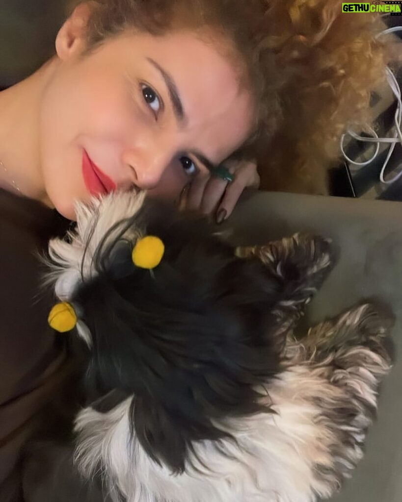 Vanessa da Mata Instagram - 🐾🐕 Hoje é Dia de São Francisco de Assis, o padroeiro dos animais e da natureza. Hoje também é comemorado o Dia Mundial dos Cachorros, eles que trazem tanta alegria e merecem todo amor e cuidado. Aqui em casa são cinco: Chiquinha (Gonzaga), Frida (Khalo), Clarice (Lispector), Ariano (Suassuna) e Tom (Jobim). Quem aqui também é cachorreiro? ❤️🐶 #VanessadaMata