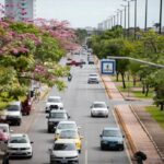 Vanessa da Mata Instagram - 🌳 Passarinhos, queria propor a vocês uma grande ação de arborização urbana em cidades que estão sem árvores. Tive essa ideia neste fim de semana, em Boa Vista(RR), que tem ruas imensas, com planos lindos, projetadas para organização urbanística perfeita, mas tem muito poucas árvores.  Há pouco tempo um grande amigo começou essa campanha em Cuiabá (MT) e plantaram muitas árvores lá. Há 12 anos eu levei 80 pés de ipês para a minha cidade Alto Garças (MT). Eles agora estão floridos e a cidade está linda com eles! A arborização urbana é muito importante na melhoria da qualidade de vida da população e do meio ambiente, além da melhoria climática, cujos estudos dizem que reduz até 10° na temperatura.   Os benefícios são inúmeros: trazem o frescor do oxigênio, sombra, absorvem a radiação solar, amenizam o calor, filtram as partículas que poluem o ar, servem de abrigo e alimento para animais, além de trazerem cores com as flores, as folhas e os troncos. Outro benefício é a educação ambiental da população, que aprende sobre o meio ambiente ao notar a clara diferença entre as áreas arborizadas e as áreas construídas. Estudos mostram que residentes de áreas urbanas que vivem perto de vegetação, possuem benefícios para a saúde, especialmente a mental. Ajudam as pessoas a viverem mais tempo, terem melhores funções cognitivas e maior paz de espírito. A arborização urbana não deve ser feita de forma aleatória, é preciso atender às questões técnicas na parte urbanística. Escolher árvores que fazem parte da flora da cidade, que não vão afetar a fiação dos postes, aprofundar com suas raízes, romper canteiros e asfalto, causar problema para a população e nem para o setor elétrico ou qualquer outra parte urbanizada. Vamos nos unir nessa ação? Coloquem nos comentários as cidades/UF de vocês e se organizem em grupos aqui, para atuarem como voluntários nesta ação, junto às prefeituras e órgãos responsáveis de suas cidades. 🌳Vamos trazer vida e frescor para as cidades! Fotos: ilustrativas de diferentes cidades #VanessadaMata #EquipeVDM