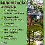 Vanessa da Mata Instagram - 🌳 Passarinhos, queria propor a vocês uma grande ação de arborização urbana em cidades que estão sem árvores. Tive essa ideia neste fim de semana, em Boa Vista(RR), que tem ruas imensas, com planos lindos, projetadas para organização urbanística perfeita, mas tem muito poucas árvores.  Há pouco tempo um grande amigo começou essa campanha em Cuiabá (MT) e plantaram muitas árvores lá. Há 12 anos eu levei 80 pés de ipês para a minha cidade Alto Garças (MT). Eles agora estão floridos e a cidade está linda com eles! A arborização urbana é muito importante na melhoria da qualidade de vida da população e do meio ambiente, além da melhoria climática, cujos estudos dizem que reduz até 10° na temperatura.   Os benefícios são inúmeros: trazem o frescor do oxigênio, sombra, absorvem a radiação solar, amenizam o calor, filtram as partículas que poluem o ar, servem de abrigo e alimento para animais, além de trazerem cores com as flores, as folhas e os troncos. Outro benefício é a educação ambiental da população, que aprende sobre o meio ambiente ao notar a clara diferença entre as áreas arborizadas e as áreas construídas. Estudos mostram que residentes de áreas urbanas que vivem perto de vegetação, possuem benefícios para a saúde, especialmente a mental. Ajudam as pessoas a viverem mais tempo, terem melhores funções cognitivas e maior paz de espírito. A arborização urbana não deve ser feita de forma aleatória, é preciso atender às questões técnicas na parte urbanística. Escolher árvores que fazem parte da flora da cidade, que não vão afetar a fiação dos postes, aprofundar com suas raízes, romper canteiros e asfalto, causar problema para a população e nem para o setor elétrico ou qualquer outra parte urbanizada. Vamos nos unir nessa ação? Coloquem nos comentários as cidades/UF de vocês e se organizem em grupos aqui, para atuarem como voluntários nesta ação, junto às prefeituras e órgãos responsáveis de suas cidades. 🌳Vamos trazer vida e frescor para as cidades! Fotos: ilustrativas de diferentes cidades #VanessadaMata #EquipeVDM
