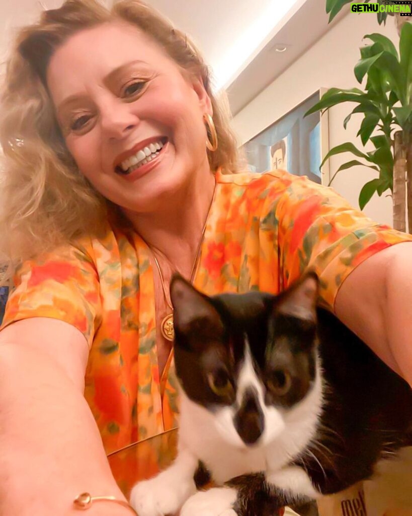 Vera Fischer Instagram - . 🧡🎄🧡🎄🧡🎄🧡🎄 Meus queridos A noite de Natal foi bonita demais 🙌 cheia de amor, de alegria e ternura. 🐈🌠🐈‍⬛💫🥂🎁 Feliz Natal ! 😘 Sua Vera