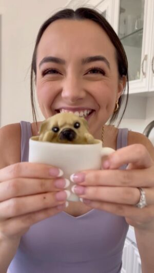 Veronica Merrell-Burriss Instagram - A Pugguccino ☕️