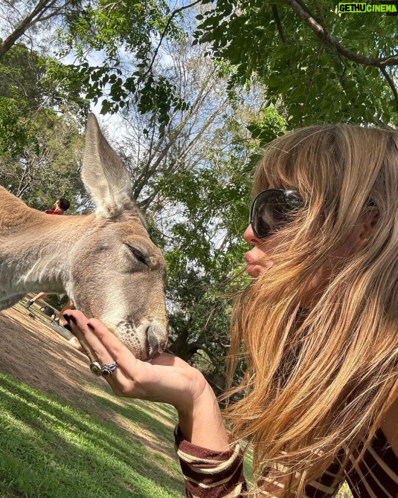 Victoria De Angelis Instagram - I <3 kangaroos Australia