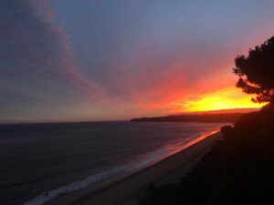 Woody Harrelson Instagram - California Dreamin