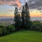 Woody Harrelson Instagram - Hello Honolulu!🌴