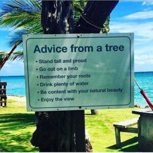Woody Harrelson Instagram - Trees know!! 🌴🌲☘️