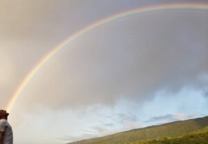 Woody Harrelson Instagram - As my daughter Makani says, "On bad days barf rainbows then you will feel better"