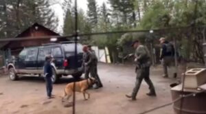 Woody Harrelson Instagram - In such a heavy world I normally like to keep things light, but this recent incident in Trinity County, California really breaks my heart.

The video is too horrifying for me to post, but if you want to watch, go to @trinitycountycorruption on Instagram.

This is a perfect example of something we never see, but that is a daily part of the absurd war on drugs, which is really a war on non-corporate drugs, and truthfully, a war on people.  Mostly nonwhite people.

I believe in the libertarian notion that if you don't hurt another person or their property, and no contract has been breached, there is no crime.

This gentleman, Nhia Pao Yang, is a small, 72 year old H'mong, and a legal grower in Trinity county.  The sheriff pepper sprayed his dog, cut his fence lock, and when they went to arrest him, the already brutalized dog reacted as it should.

I'm a dog lover and this is unconscionable behavior.  One step back would have put the deputy out of reach of the leash.  I guess there was some issue with the county permit, but you don’t send 9 cops in riot gear with their guns drawn for a code violation.

Why is this unjust war against people continuing, even in a state where cannabis is legal?  This war continues because, like most war, it's extremely lucrative for some.  88% of Americans believe pot should be legal and common sense tells you this absurd, money-making war never stopped a single person from consuming what they want.  The only real crime in this war on humanity appears to rest with the warmonger. 

Wouldn't it be better to take the billions they use every year to fight this drug war and divert it to something necessary and important like regenerative agriculture or combating global warming or helping vets?  I could come up with 500 things that would better serve the country than this continuous brutality.