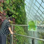 Yuta Jinguji Instagram – 植物園に行ったよ🌴

最後の写真がなんか好きなのよ🤣🤣