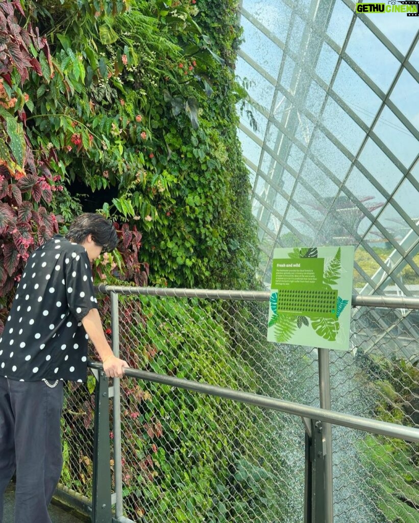Yuta Jinguji Instagram - 植物園に行ったよ🌴 最後の写真がなんか好きなのよ🤣🤣