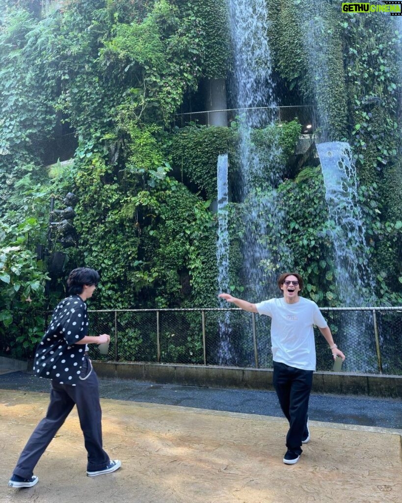 Yuta Jinguji Instagram - 植物園に行ったよ🌴 最後の写真がなんか好きなのよ🤣🤣