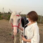 Zahra Habib Instagram - اول دروس ركوب الخيل لاتخاف منه حتى ميسطر عليك اخترنا نتدرب على خيل شخصيته قوية واللي هي بداية صعبة بس بداية تجنننننن…. ركضة الفرس غيرررر كلش غير…. رح نتابع اني وانتوا هاي الدورس يا اصير محترفة يا اما اجيكم ابجي 😂 شجعووووني بالله عليكم Baghdad, Iraq