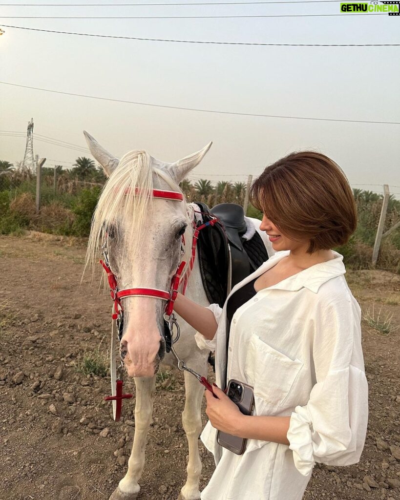 Zahra Habib Instagram - اول دروس ركوب الخيل لاتخاف منه حتى ميسطر عليك اخترنا نتدرب على خيل شخصيته قوية واللي هي بداية صعبة بس بداية تجنننننن…. ركضة الفرس غيرررر كلش غير…. رح نتابع اني وانتوا هاي الدورس يا اصير محترفة يا اما اجيكم ابجي 😂 شجعووووني بالله عليكم Baghdad, Iraq