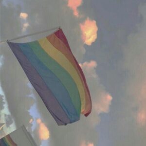 Hayley LeBlanc Instagram - Happy pride month🌈🦋 LOVE IS LOVE
And you’re valid and I love u!!!