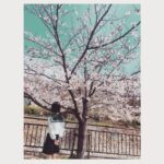 Minami Hamabe Instagram - 思い思われふりふられ