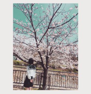 Minami Hamabe Thumbnail - 248.7K Likes - Top Liked Instagram Posts and Photos