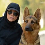 Sahar Dolatshahi Instagram - لحظه اي از سريال عاليجناب.  همراه با تيلداي باهوش 😍عكس از حبيب مجيدي