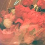 Kasumi Arimura Instagram - 麦と絹、ふたりの物語が、いつかのあなたの物語へと。「花束みたいな恋をした」本日より公開です、心に残る作品となりますように💐