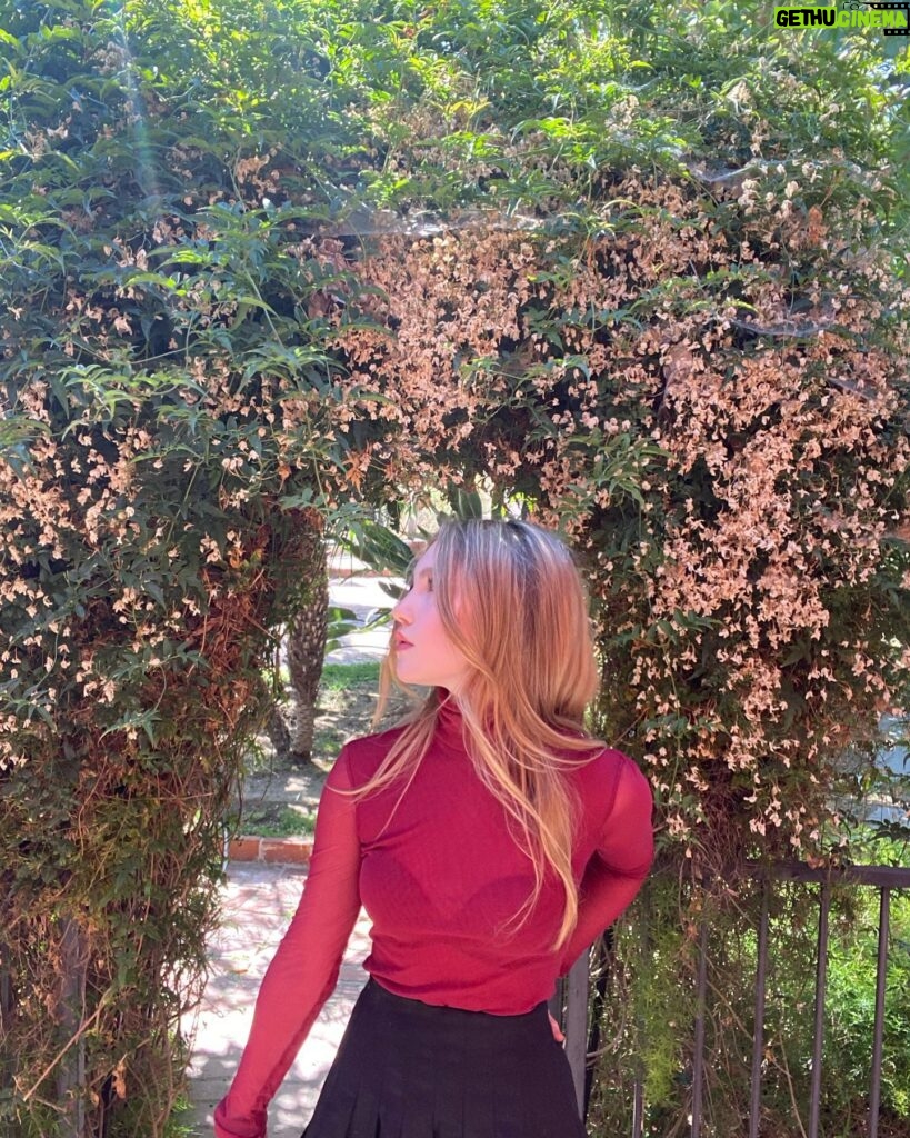 Ella Anderson Instagram - under my arch of flowers
