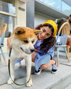 Özge Yağız Instagram - #akita 💙🧡