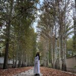 Sahar Dolatshahi Instagram - پاييز عزيز 🍂