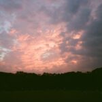 Nana Komatsu Instagram - 🔄