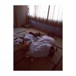 Suzu Hirose Instagram - ㊗️
おふたり様よ、お誕生日おめでとう。
あなたがいれば、私は頑張れる。上の句の台詞。
「もろともに あはれと思へ 山桜 花より外（ほか）に 知る人もなし」まさにちはやふるの皆に心から思う歌。
特に、おふたりが居てくれたからだと思う。
ありがとう。素敵な一年をね。結びの撮影の時に２人がよく一緒に寝てたから盗撮してたよ。
野村家の周平くんと、まっけんけん！
#ちはやふるバースデー投稿 笑 #ちはやふる結び