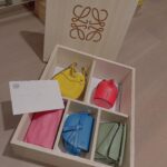 Victoria Song Instagram - @loewe 💜❤️🧡💚💙