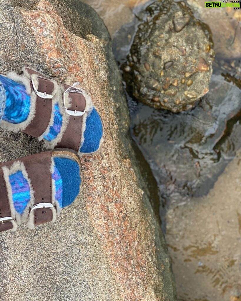 Lena Headey Instagram - When ya miss the walk .. Cause .. ya know … Footwear choice 
#Montauk ❤️🐙❤️