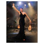 Şevval Sam Instagram - Unutulmaz konserler…⭐️⭐️⭐️⭐️⭐️⭐️⭐️
Fotoğraf: @canipek 
Elbise: @tarikedizofficial 
Styling: @816styling 
@mina.tanay @sburcucam 
Menajer: @ceydahasirci