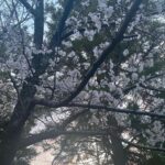 Kasumi Arimura Instagram -