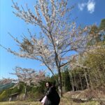 Mei Nagano Instagram - ・
🥹🌸🌸