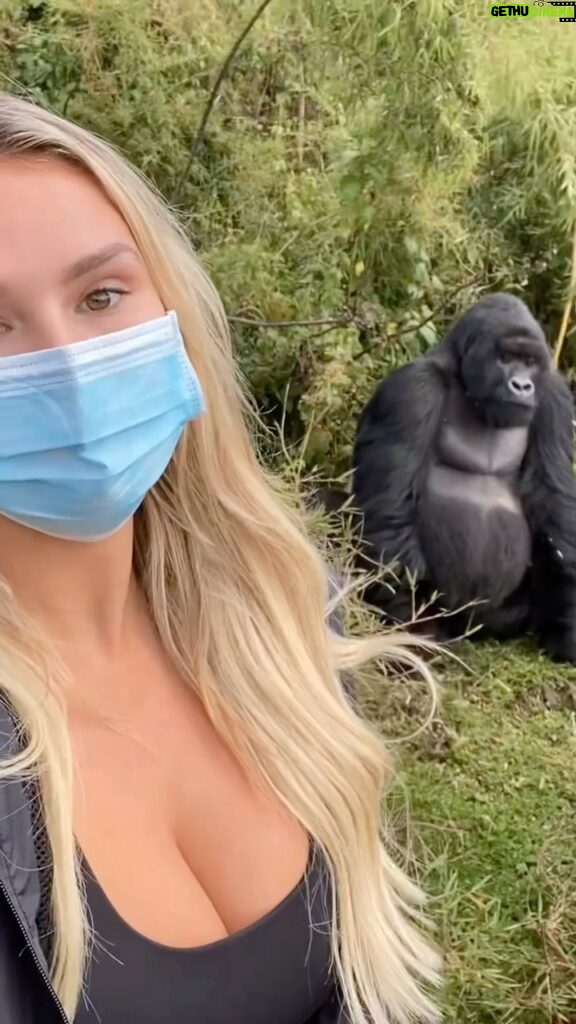 Kinsey Wolanski Instagram - Gorilla trekking in Uganda has to be one of my favorite travel memories…… what should my next adventure be?