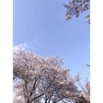 Mio Imada Instagram - 🌸
ついに私も花粉症かな。
鼻がかゆくてかゆくて
くしゃみがとまりません。