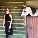 Gökçe Akyıldız Instagram - 🐴