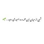 Narges Mohammadi Instagram -