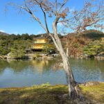 Maude Apatow Instagram - KYOTO🇯🇵🎋