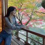Mei Nagano Instagram - ・
秋を感じる時間🍁
もうすっかり寒いけれど🙃笑