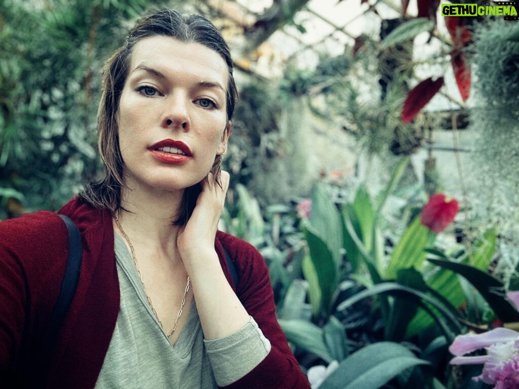 Milla Jovovich Instagram - Never thought a trip to the botanical gardens would make the kids so peaceful and introspective. We all wandered through the humid environment and the little ones would sit so still waiting for the fairies to come out of hiding. The girls watched the reflections of the plants and leaves in the pools of water, speaking in whispers. I took the opportunity to snap some beautiful, poignant pictures that I knew captured the mood we all felt. Some places have magic. You can feel them. Kids feel them even stronger and react in unexpected ways. My own who are usually chatterboxes just perched in out of the way places and let the garden speak to them in its warm, languorous, embracing way. And it all felt exactly as it should. And it all felt just right.  Xo m❤️