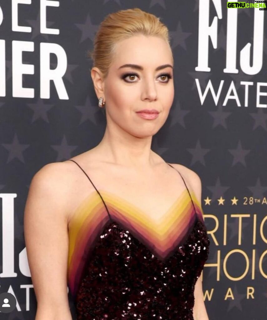 Aubrey Plaza Instagram - Thank you @louisvuitton for this gorgeous dress and to my team that I love so much. #criticschoiceawards #emilythecriminal