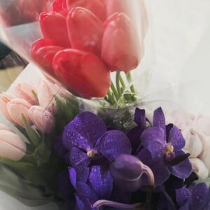 Mio Imada Instagram - 🌷
皆さまいつもありがとう。