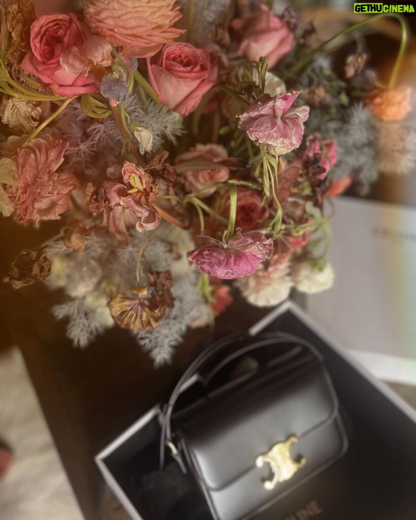 Paris Jackson Instagram - thank you @celine 😍 can’t wait to take this bag everywhere #celinetriomphe #celinepartner