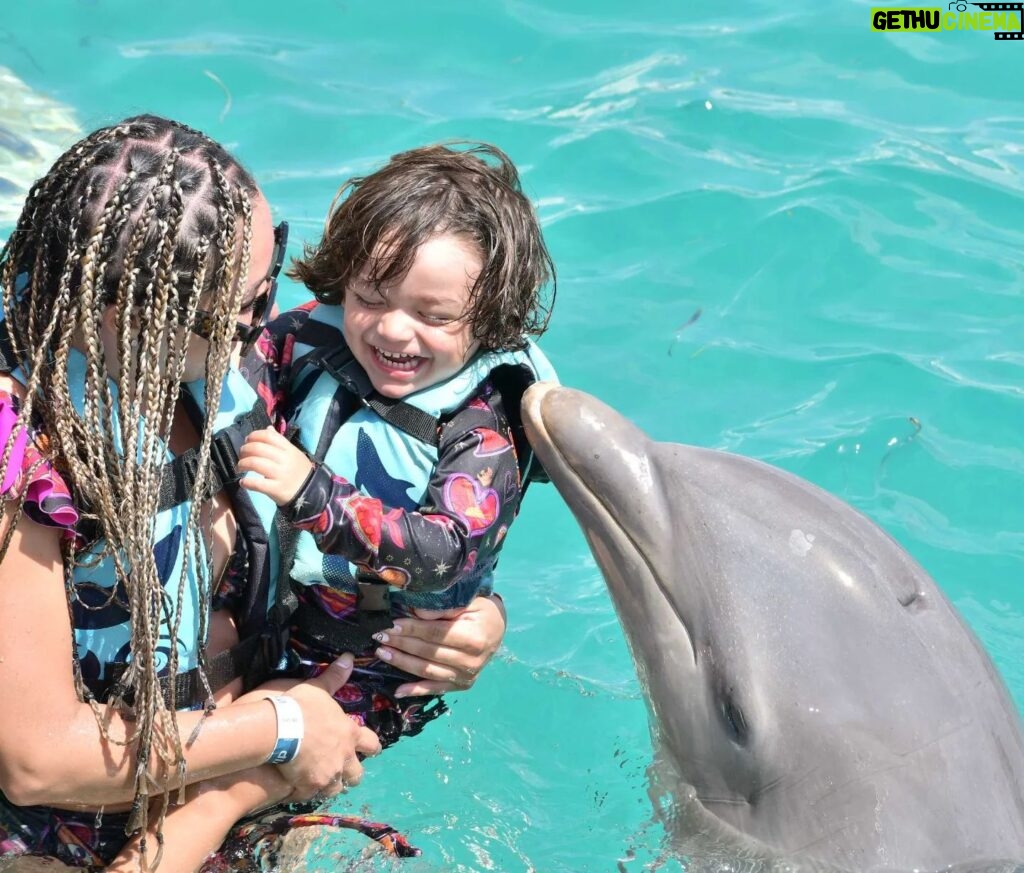Sherlyn Instagram - @andrenuestrobebe conociendo a los delfines me da mil años de vida! 
Gracias a @dolphindiscovery por una experiencia tan bella y ayudar  crear conciencia! Es un día que no olvidaremos.