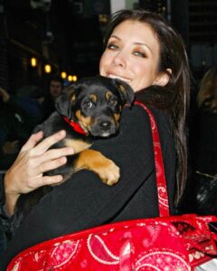 Kate Walsh Instagram - Rosie Walsh, aka Rosie The Dog, aka Rosie Perez, aka Rose Hound, Rosebud, Roro has left us after 15 years, 3 months of loyal service. 💫 💔 Rosie was born under a house in the Bronx and I adopted her just 8 weeks later as part of a dog adoption campaign with @AnimalHaven in NYC & took her back to Los Angeles to hang out with Lucy, Billy, Pablo & me. (I initially couldn’t decide between Rosie and her brother Amico, so when I chose Rosie, my brother Sean adopted Amico and took him home to Seattle 😊) 
We had so many amazing years together, from the Hollywood Hills to the dog parks of Los Feliz & Encino, to the snowy mountains of Lake Tahoe, to the beaches of Malibu to the streets of NYC & Washington square park, and finally to Perth, where she has endlessly walked & swam the beaches, the Swan river, and vigorously rounded the cricket oval & trails as if she was expected at the Swanbourne Bridge Club! 😂 Rosie had an iron will to live and was my always companion…whenever I could bring her to set I would, and when I couldn’t I had the best people looking after her. 
She kept Lucy the Dog, Billy & Pablo company until they left this world and I’m so grateful for all she taught me and very, very grateful that she waited for me to come back from LA say goodbye to me snout to snout. I am also incredibly grateful for Mikey Lage (@MrHollywoof), Heather Tobin (@Southern_Spirit_Farm), #CristyDavey and Tina Van Leuven (@UpliftersNation) and all the others who have walked Rosie & loved her so well. And thanks too to all of the wonderful veterinarians all over the world, but especially here in Perth who helped her with her palliative care and eventually her transition at home. I honestly think she was the happiest here in her Western Australia retirement.