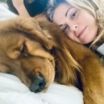 Vanessa Incontrada Instagram - Il mio Tokyo ❤️

#goldenretriever
