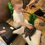 Dani Dyer Instagram - Weekend photo dump💖