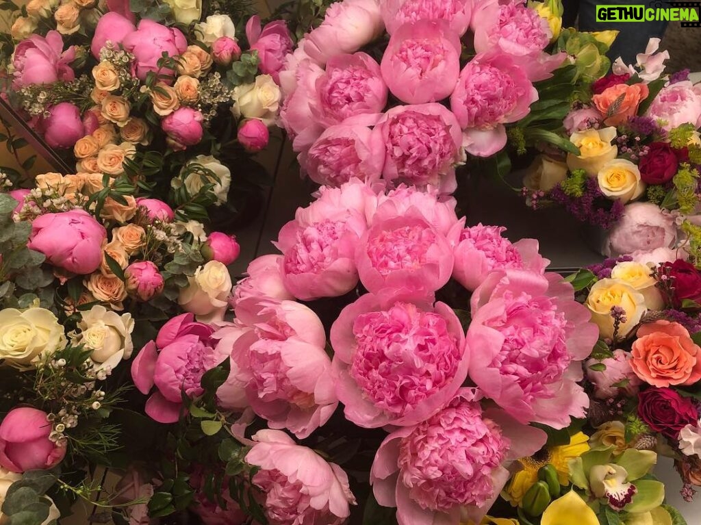 Melissa Benoist Instagram - self affirmation comes in the form of flowers in your dressing room on the night of your first show 💕 🌸