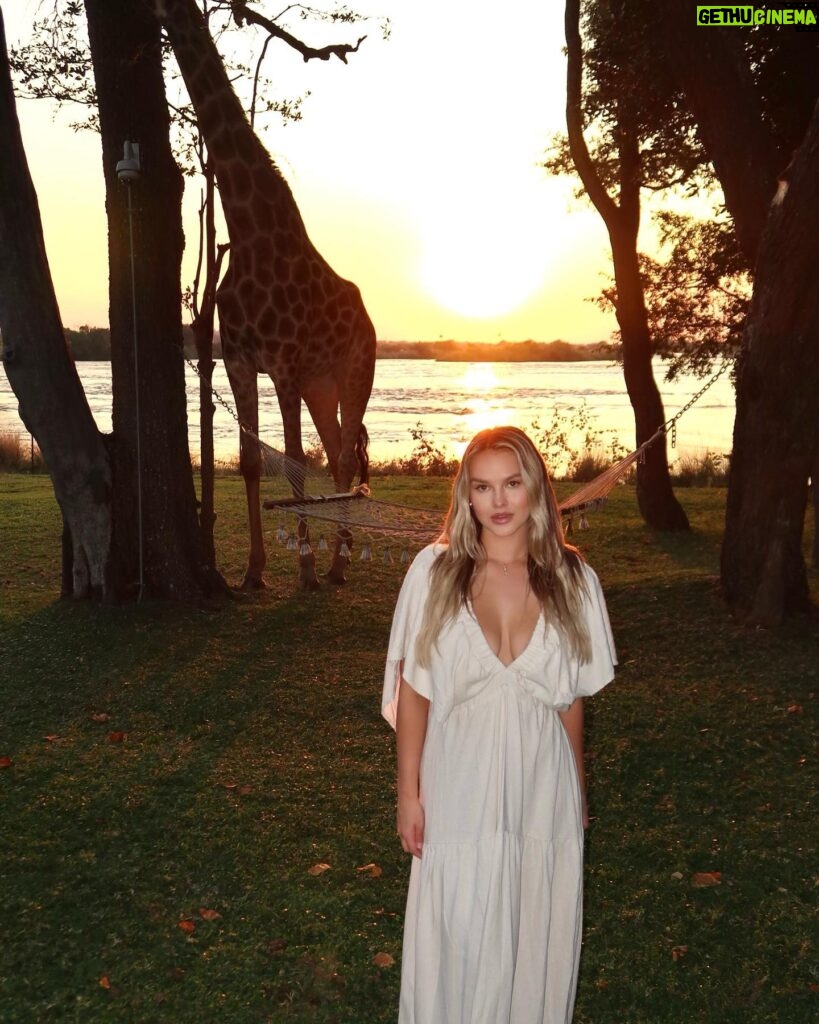 Kinsey Wolanski Instagram - Made some friends🦒